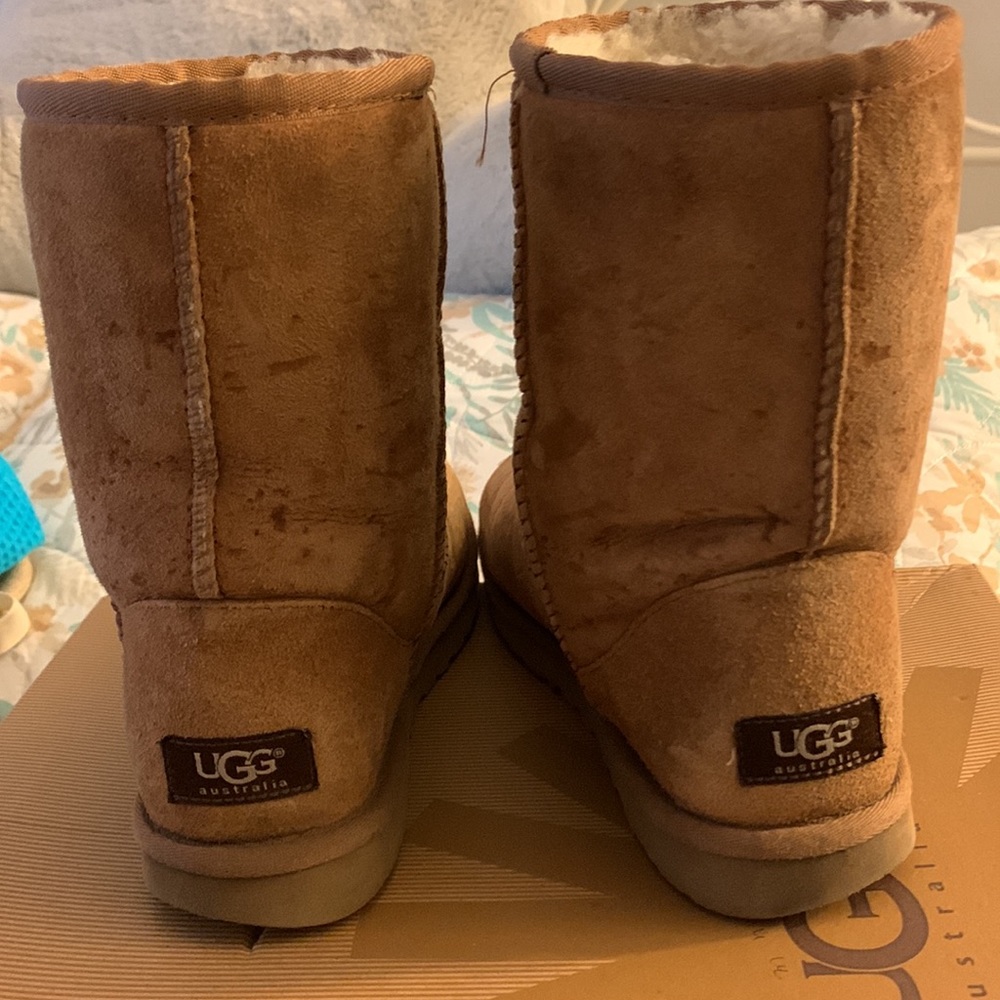 Used Uggs - image 6